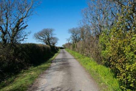 Hallagather Farmhouse Crackington Haven Экстерьер фото